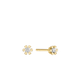 Aagaard - ETERNITY 14KT ØRESTIK 2X0,05CT WSI 6/GRAB
