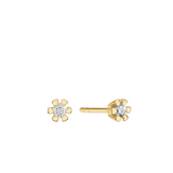 Aagaard - ETERNITY 14KT ØRESTIK 2X0,20CT WSI 6/GRAB