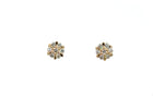 Amore Jewelry - 14 kt. diamant ørestikker m. 0,20ct w/si - Model: 10-22153