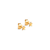 Enamel - Star Energy - 18kt forgyldt sølv ørestikker- Model: E410G