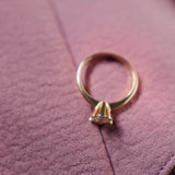 Vida ring rødguld 0,25 H-W/P1 14 kt - Model: 7815,25
