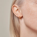 Enamel - Forgyldt Holly Large, hoops - Model: E311GM
