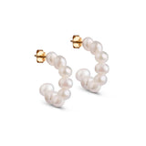 Enamel - PEARLIE chunky HOOPS, ørehænger, forgyldt - Model: E294G