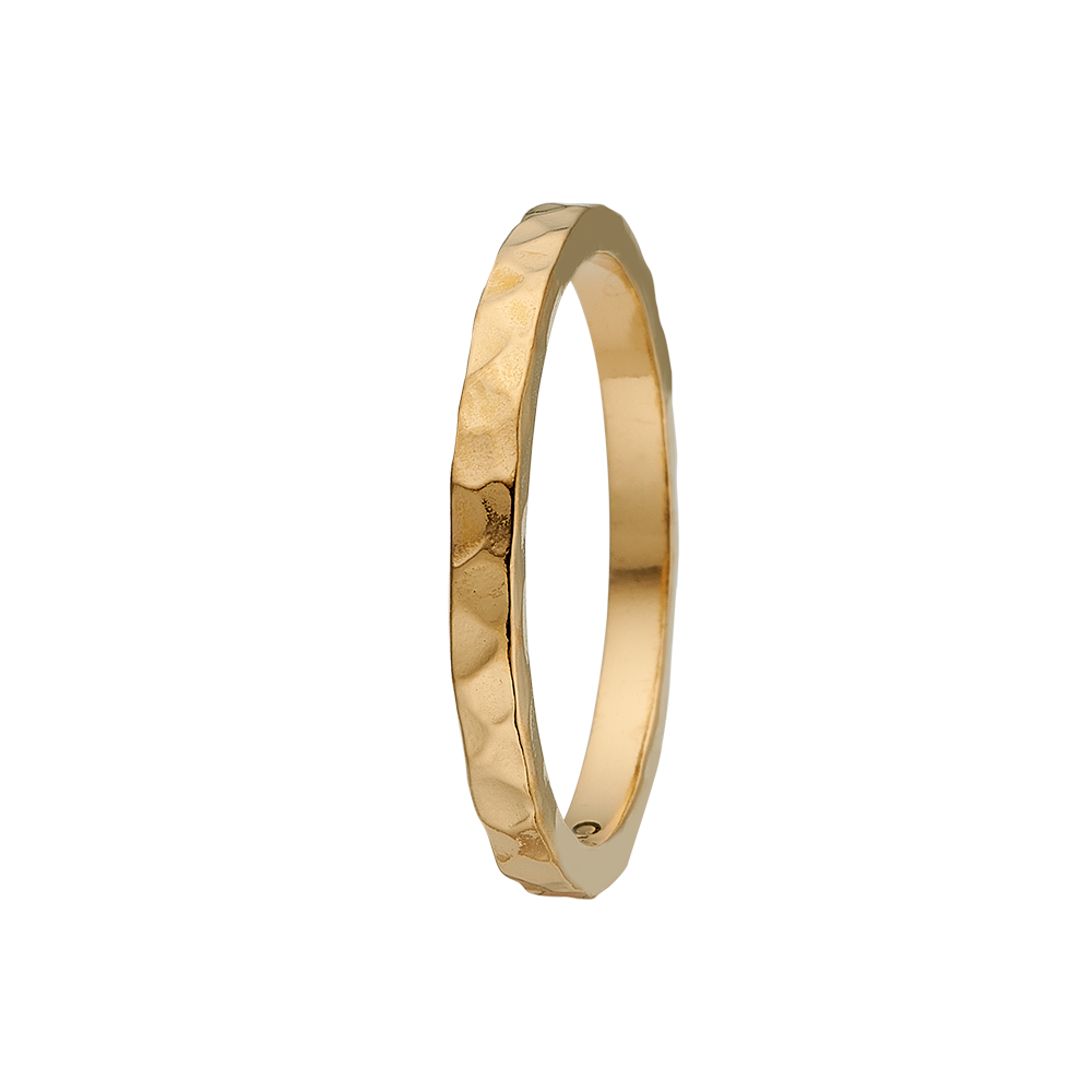 Køb Christina Jewelry & watches - Forgyldt sølv ring, Experience - Modelnr: 800-0.6.B hos Guldsmed Smeds
