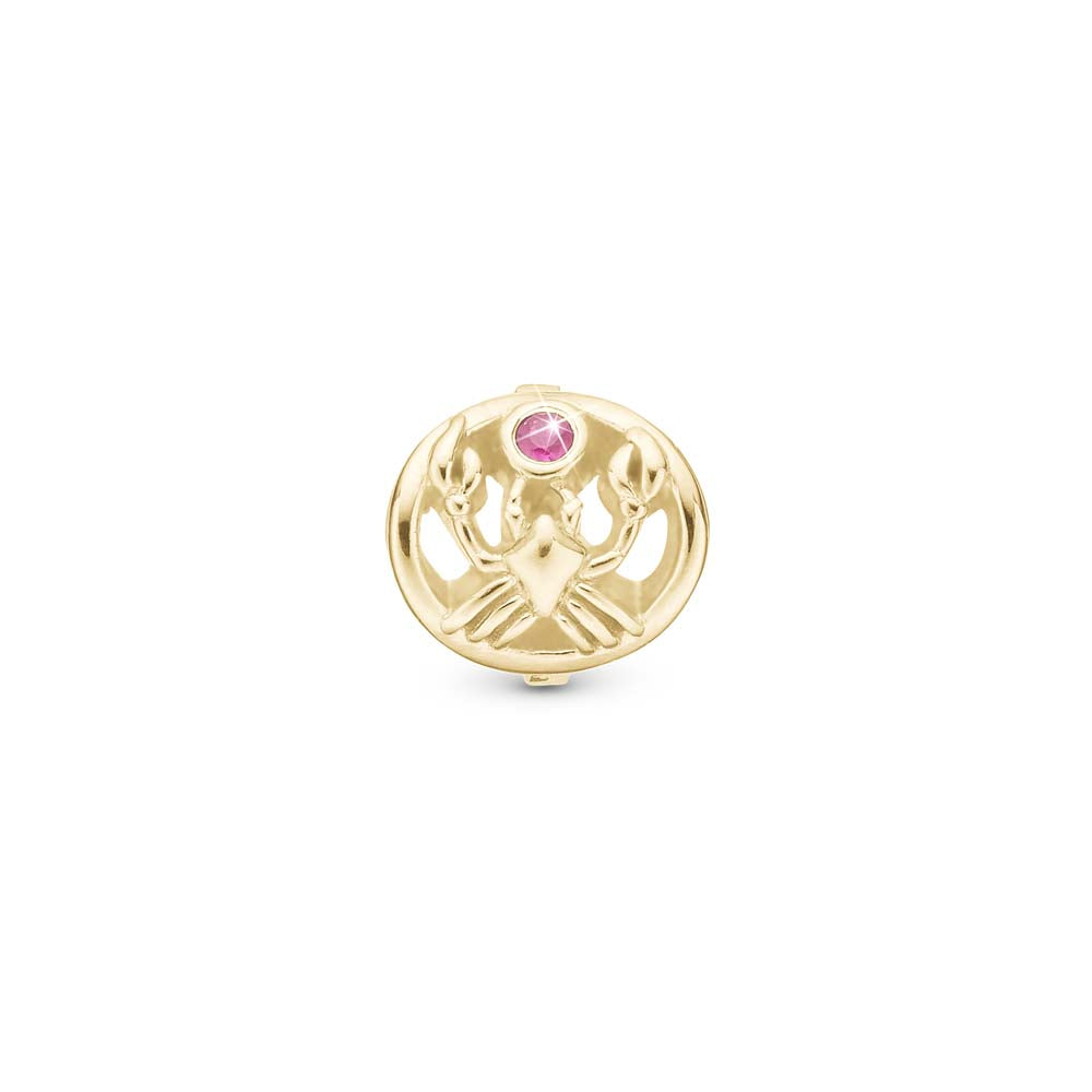 Køb Christina Jewelry & Watches Charm til læderarmbånd