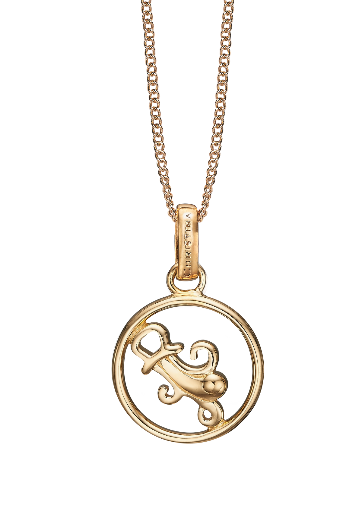 Køb Christina jewelry - Zodiac Aquarius vedhæng uden kæde, forgyldt plated sølv - Modelnr.: 680-G38-1 hos Guldsmed Smeds