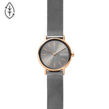 Køb Skagen Dameur