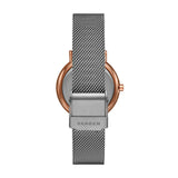 Køb Skagen Dameur