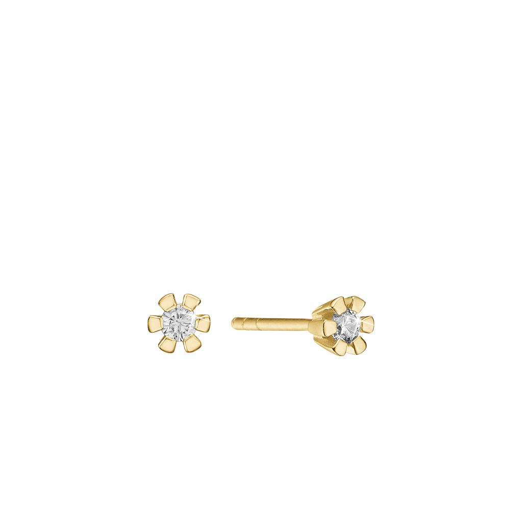 Aagaard - ETERNITY 8KT ØRESTIK 2X0,05CT WSI 6/GRAB