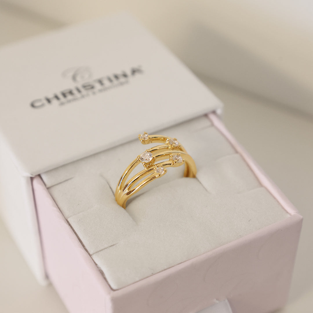 Christina Your Choice ring i forgyldt sølv – model 800-3.16.B – billede 3