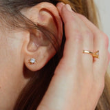 Vida ørestikker rødguld 0,50 H-W/P1 14 kt - Model: 1815,50