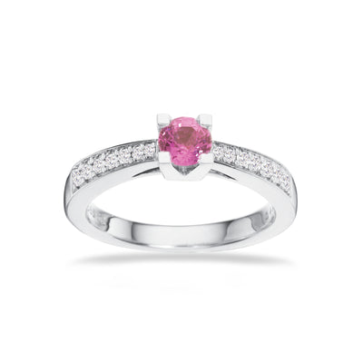 Kleopatra Queen ring hvidguld 0,40 pink safir 0,16 H-W/SI 14 kt - Model: 7536,40P