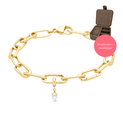 Christina Embrace Forgyldt Small Link armbånd i forgyldt sølv