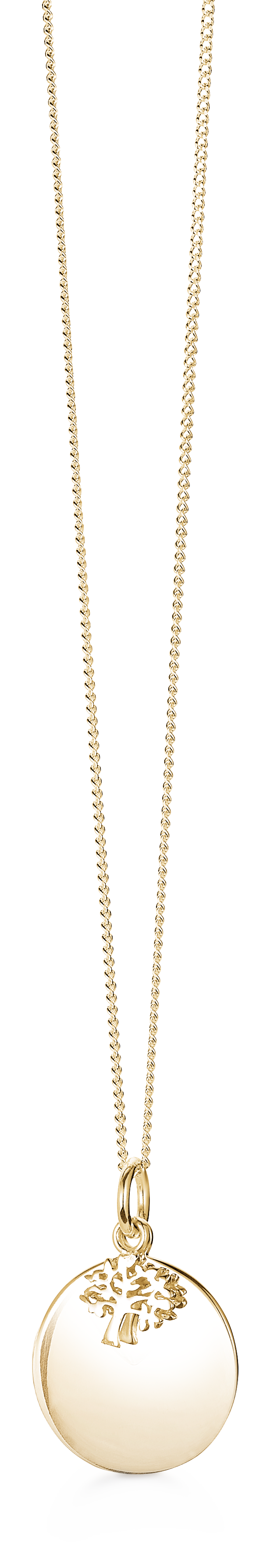 Køb Aagaard - SØLV FORG. LIVETSTRÆ COLLIER 42+3CM  - Modelnr.: 03303734-42 hos Guldsmed Smeds