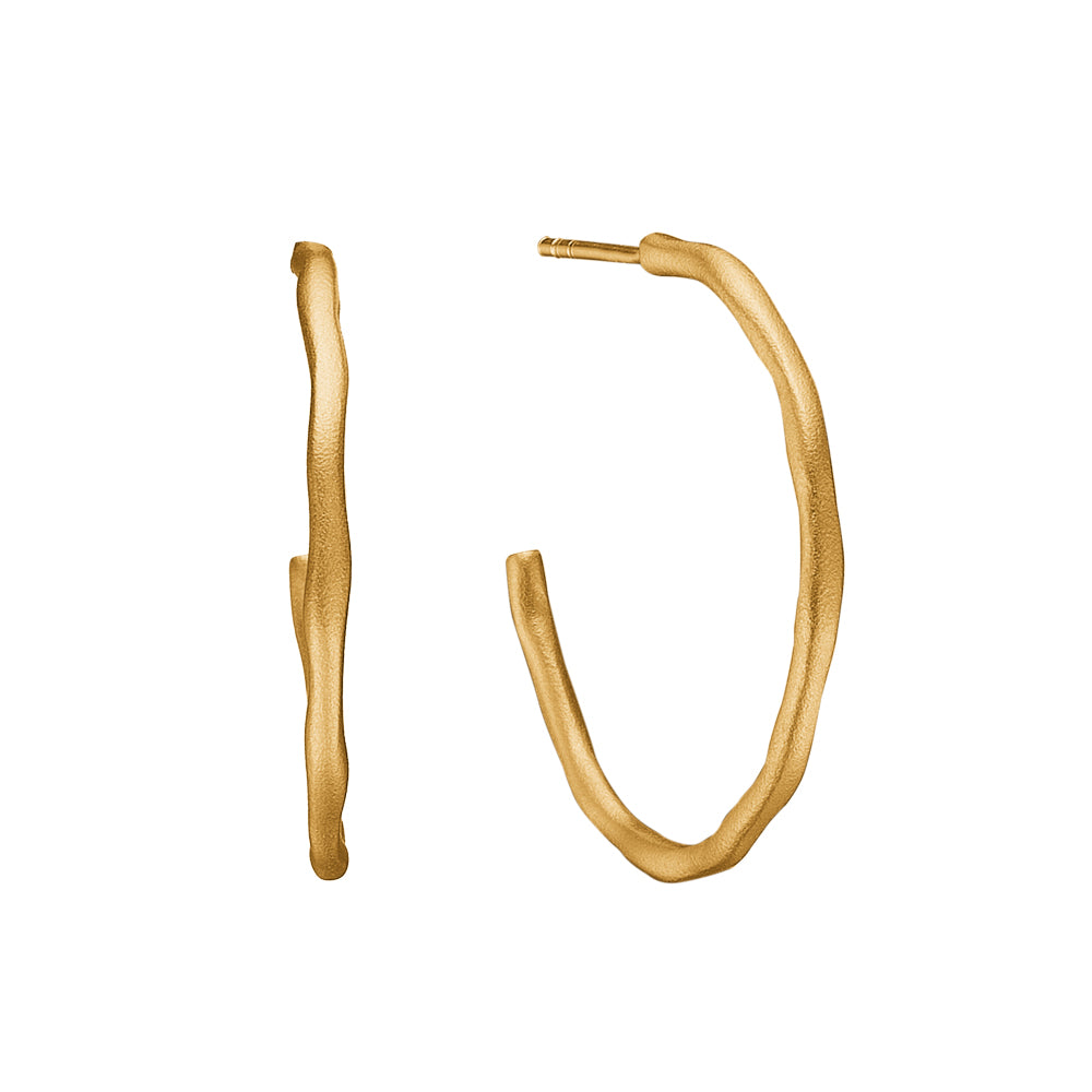 Køb Aagaard - Øreringe forgyldt, hoop satin Ø 30 mm - Model: 1670-S-G11 hos Guldsmed Smeds