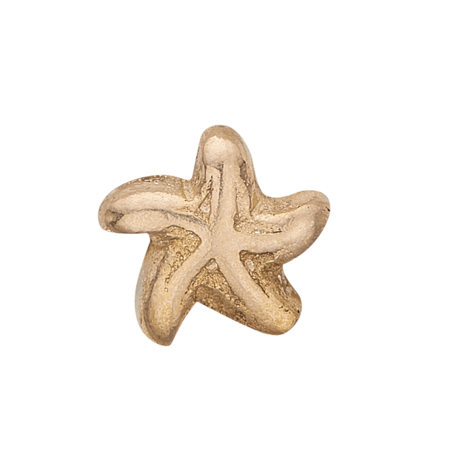 Køb Christina jewelry & watches - Collect Star Fish gold pl - Modelnr.: 603-G7 hos Guldsmed Smeds