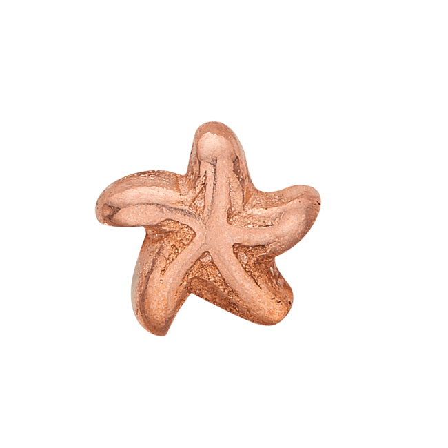 Køb Christina Elements - Collect Star Fish rose gold pl - Modelnr: 603-R7 hos Guldsmed Smeds