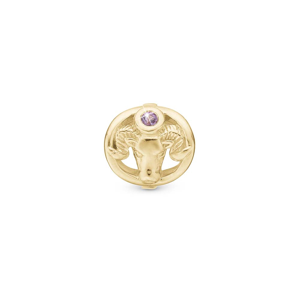 Køb Christina Jewelry & Watches Charm til læderarmbånd