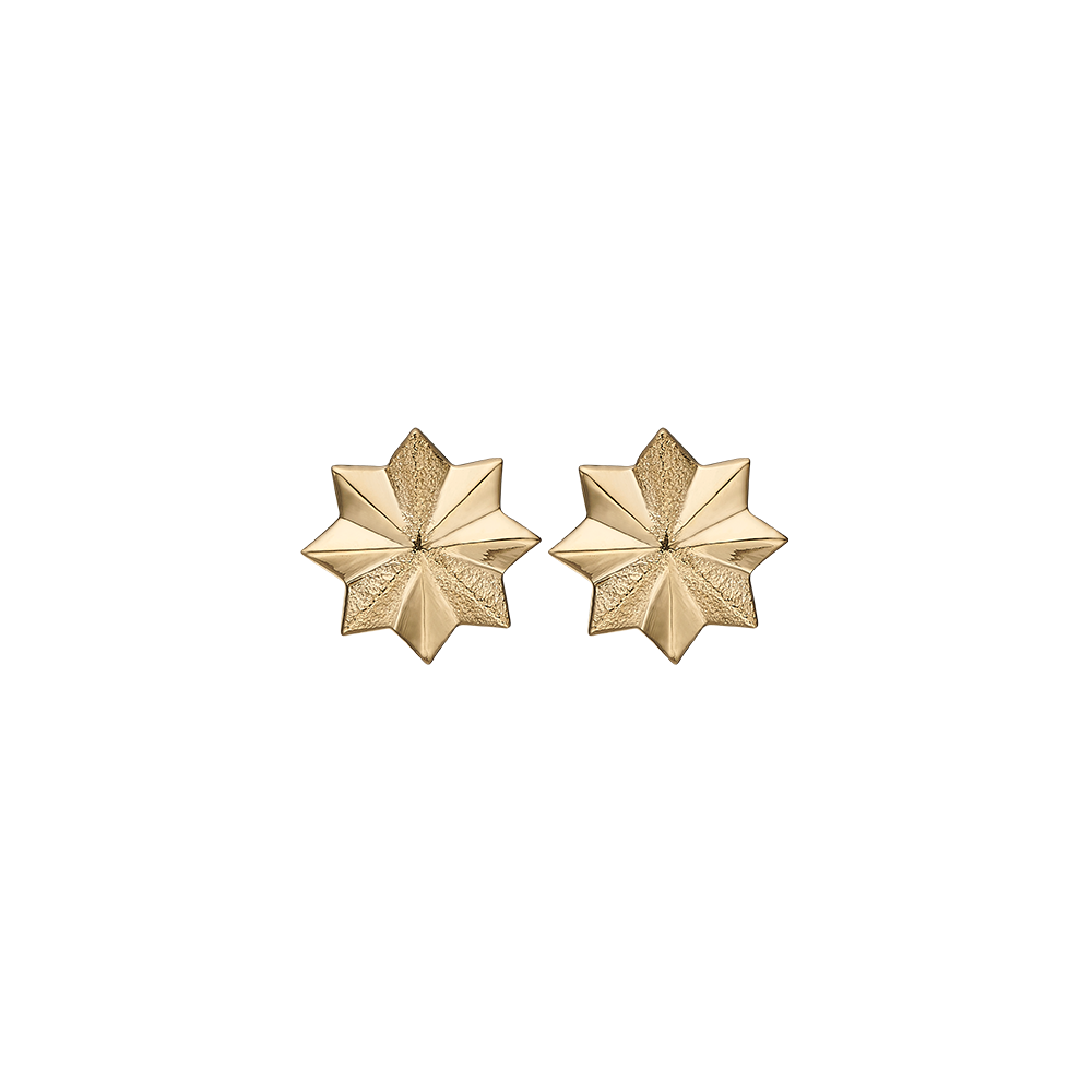 Køb Christina Jewelry & Watches - Happy Storm, studs, goldpl silver - Model: 671-G66 hos Guldsmed Smeds