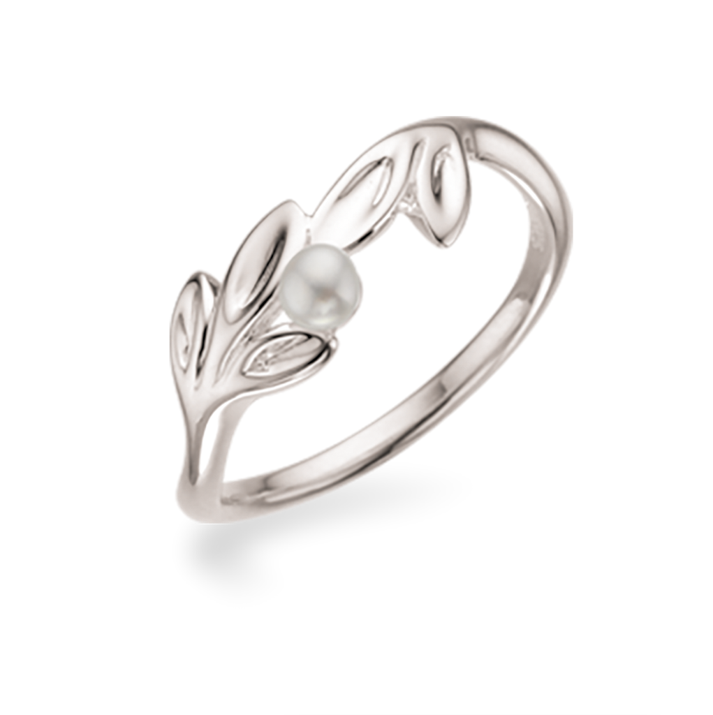 Køb Scrouples Ring
