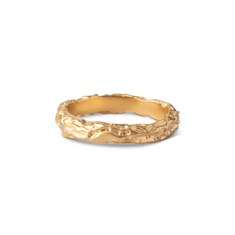 Køb Enamel - Forgyldt sølv ring, Gaia - Model: R56GM hos Guldsmed Smeds