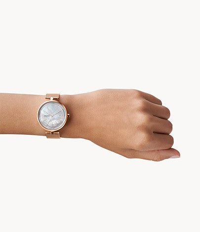 Køb Skagen Dameur