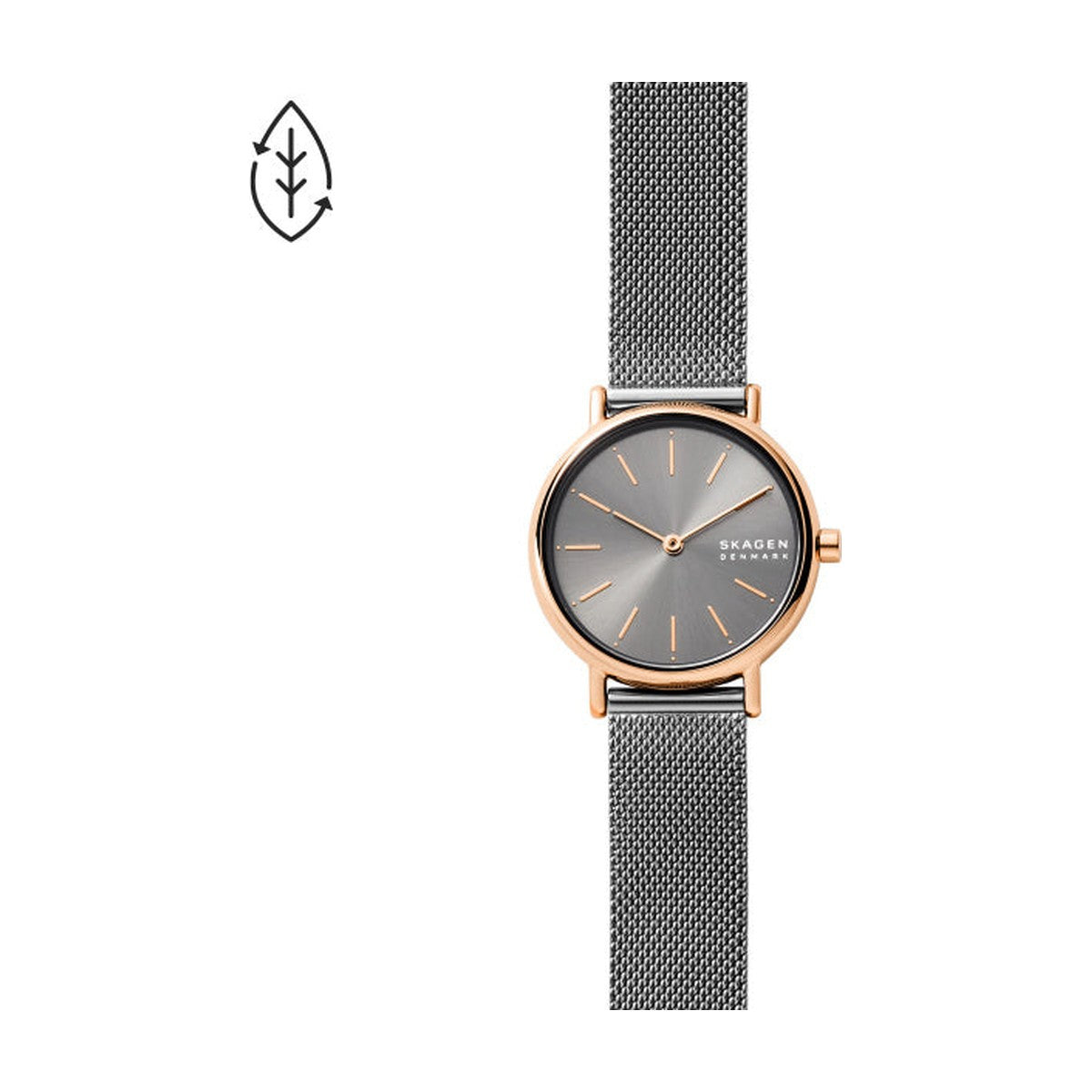 Køb Skagen Dameur